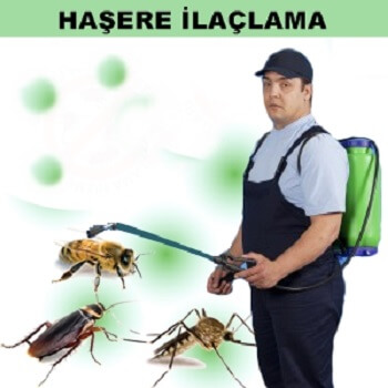 Küre Böcek İlaçlama